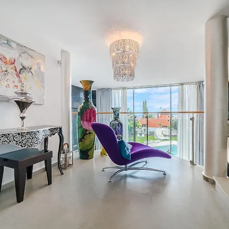 Miami فيلة أذيخي